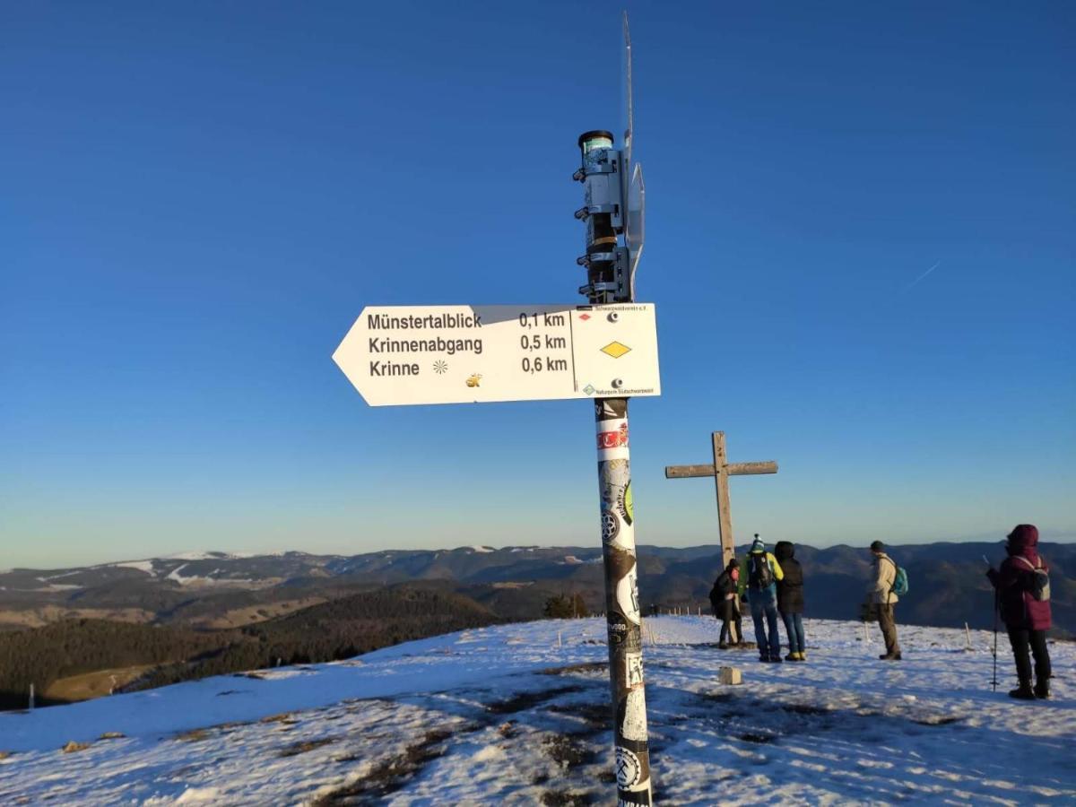 Ferienwohnung Belchenblick Staufen im Breisgau Exterior foto
